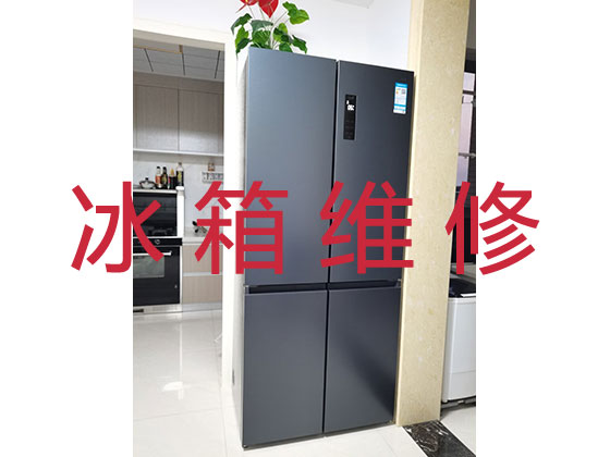 北京专业冰箱安装
